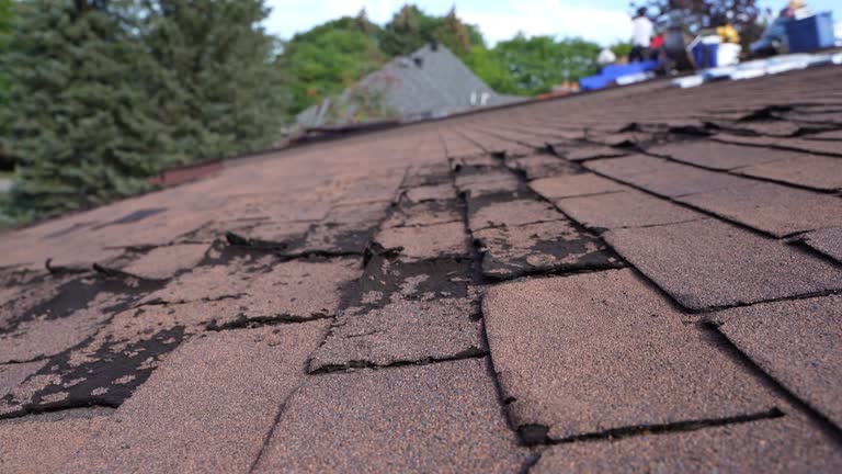 Roof Insulation Installation in French Island, WI