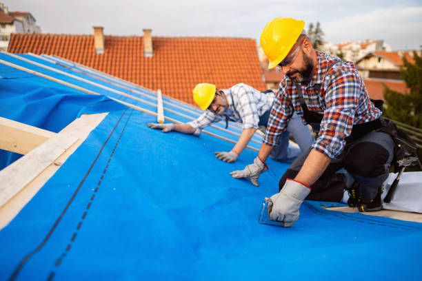 Best Chimney Flashing Repair  in French Island, WI